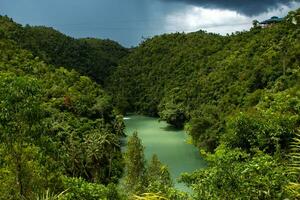 se av djungel grön flod loboc på bohol ö foto