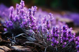 lavendel- i de skog natur landskap ai genererad foto