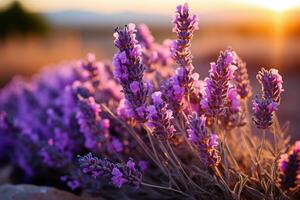 lavendel- i de fält natur landskap ai genererad foto