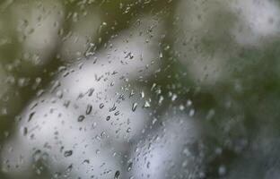 en Foto av regn droppar på de fönster glas med en suddig se av de blomstrande grön träd. abstrakt bild som visar molnig och regnig väder betingelser