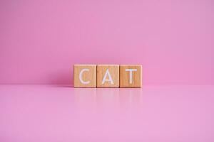 trä- block form de text katt mot en rosa bakgrund. foto