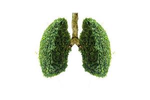 illustration av lungmiljö och medicin foto