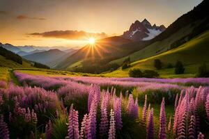de Sol stiger över en fält av lupin blommor i de berg. ai-genererad foto