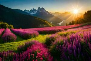 de Sol stiger över en lavendel- fält i de berg. ai-genererad foto