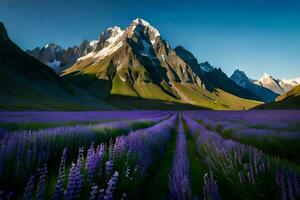 de lavendel- fält av de karakoram berg. ai-genererad foto