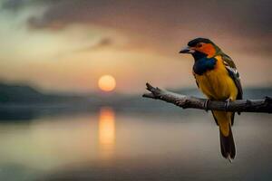 en färgrik fågel sitter på en gren i främre av de Sol. ai-genererad foto