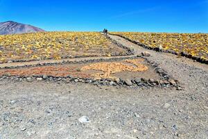 salar de aguor calientes synpunkt - atacama öken- - san pedro de atacama. foto