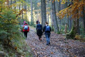 karpater berg, ukraina - oktober 8, 2022 montera hoverla. karpater i ukraina i höst foto