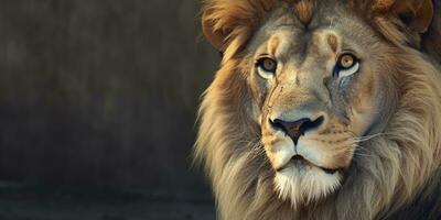 stänga upp av ett afrikansk lejon. generativ ai foto