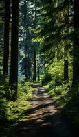 soluppgång skog landskap med gräs och moln ai genererad foto