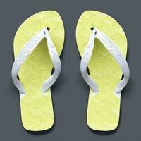 flip flip sandal skor Skodon för katalog bok tidskrift produkt falsk upp foto