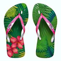 flip flip sandal skor Skodon för katalog bok tidskrift produkt falsk upp foto