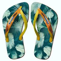 flip flip sandal skor Skodon för katalog bok tidskrift produkt falsk upp foto