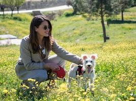 ung kvinna som sitter på huk med sin schnauzerhund foto