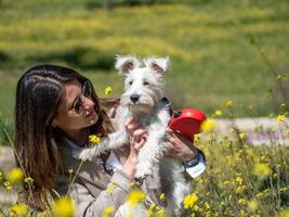 kvinna med vit schnauzer hund i gula blommor fält foto