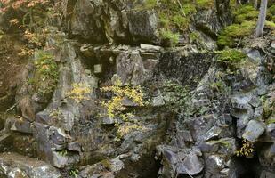 en fragment av en klippig berg. texturerad stenar av de klippig berg. en sten bevuxen med grön vegetation foto