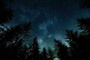 natt himmel i skog, se av stjärna på natt himmel genom träd bruncher. ai generativ foto