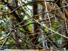 närbild av stål hullingförsedda tråd strung på en staket för säkerhet. de begrepp är inte frihet. foto