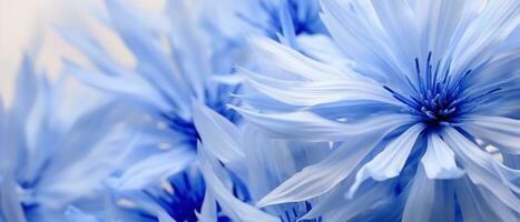 detaljerad närbild av blåklint kronblad. ai generativ foto