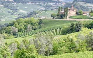 Langhe vingårdar, Italien, sett från La Morras synvinkel. foto