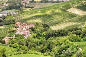 vingårdar i den kuperade regionen Langhe, Italien, UNESCO -plats