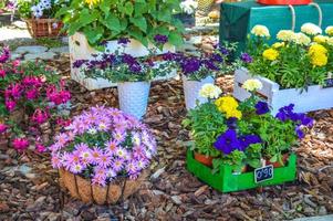 blomsterfestival i girona temps de flors, spanien. 2018 foto