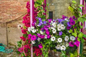 blomsterfestival i girona temps de flors, spanien. 2018 foto