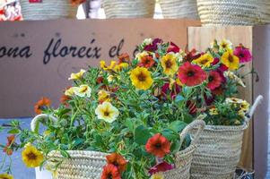 blomsterfestival i girona temps de flors, spanien. 2018 foto