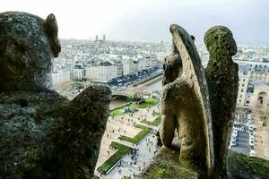 gargoyles på de topp av en byggnad utsikt en stad foto