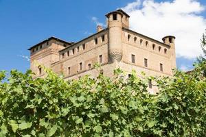 vingård i Piemonte -regionen, Italien, med grinzane cavour foto