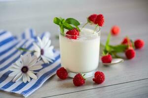 ljuv kokta hemlagad yoghurt med färsk hallon i en glas. foto