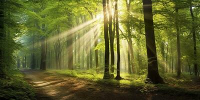 skön strålar av solljus i en grön skog. generativ ai foto