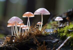 hemimycena arter mairei. ai genererad. foto