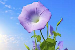 morgon- ära blomma med blå himmel. ai genererad. foto