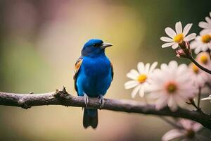 en blå fågel sitter på en gren med vit blommor. ai-genererad foto