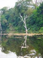 sjö damm vid neak poan i angkor wat komplex, siem skörd kambodja. foto