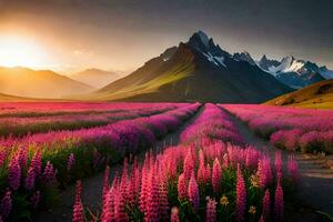 en fält av lila blommor och bergen på solnedgång. ai-genererad foto