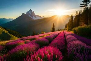 de Sol lyser över lavendel- fält i de berg. ai-genererad foto