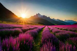 de Sol stiger över lavendel- fält i de berg. ai-genererad foto