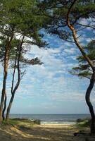 baltick hav landskap foto