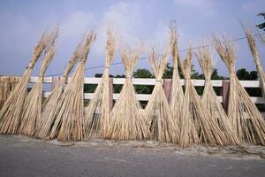 många jute pinnar är staplade för Sol torkning på sadarpur, faridpur, bangladesh. ett och endast jute odling är i faridpur, bangladesh foto