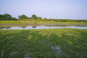 grön fält, ängar, och blå himmel landskap se med padma flod kanal i bangladesh foto