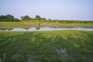 grön fält, ängar, och blå himmel landskap se med padma flod kanal i bangladesh foto