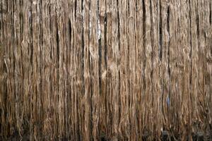 gyllene jute fiber mönster textur kan vara Begagnade som bakgrund tapet. detta är de kallad gyllene fiber i bangladesh foto