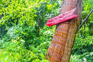 rött riktningstecken till den tropiska djungeln koh samui thailand. foto