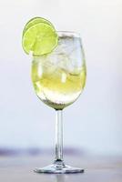 martini bianco vermouth spritzer med lime foto