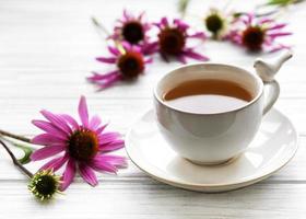 echinacea -te med färska blommor. foto