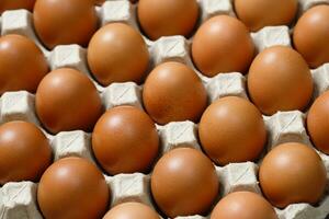färsk kyckling ägg för försäljning på en marknadsföra. mönster bakgrund. foto