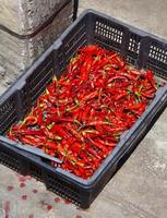 många röda chili i papperslåda i thailand foto