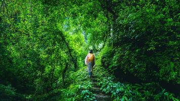 asiatisk kvinnor resa ta en bild natur studie. resa de högsta vattenfall i Chiang Mai mae-pan regnig säsong på doi intanon i thailand. foto